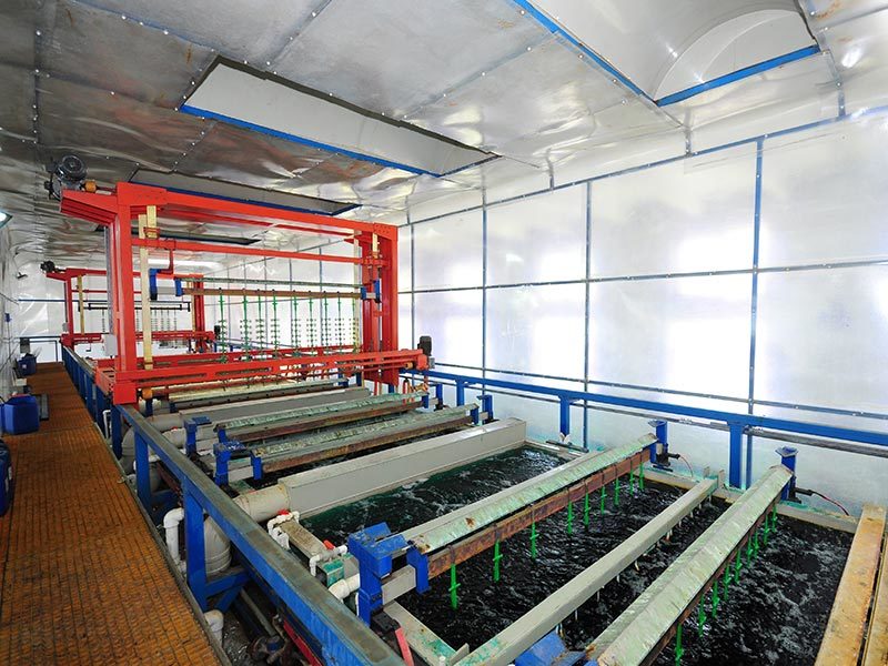 鎳鎳電鍍自動生產(chǎn)線